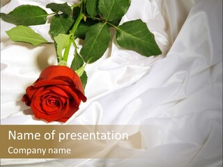 Fabric Sensuality Gift PowerPoint Template