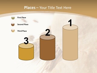 Food Goods Rye PowerPoint Template