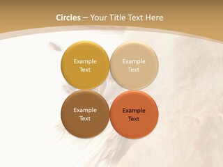 Food Goods Rye PowerPoint Template