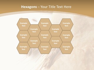 Food Goods Rye PowerPoint Template