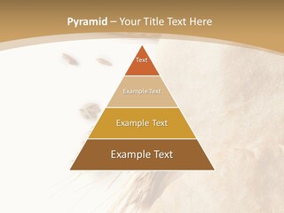 Food Goods Rye PowerPoint Template