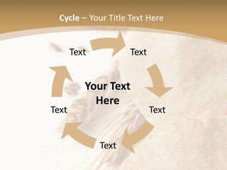 Food Goods Rye PowerPoint Template