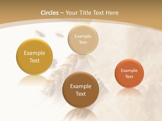 Food Goods Rye PowerPoint Template