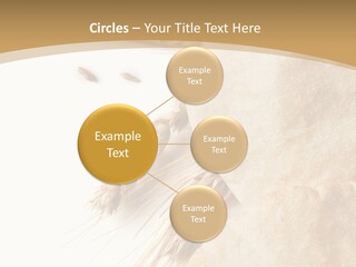 Food Goods Rye PowerPoint Template