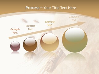 Food Goods Rye PowerPoint Template