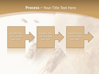 Food Goods Rye PowerPoint Template