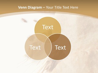 Food Goods Rye PowerPoint Template