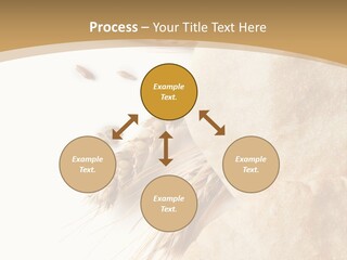 Food Goods Rye PowerPoint Template