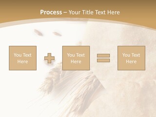 Food Goods Rye PowerPoint Template