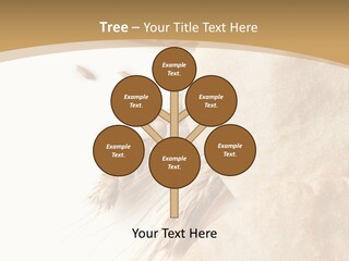 Food Goods Rye PowerPoint Template