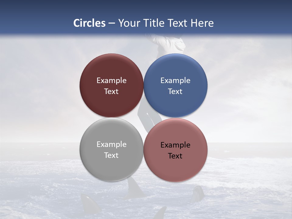 Risk Caucasian Shark PowerPoint Template