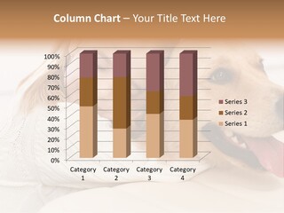 Good Kid Smiling PowerPoint Template