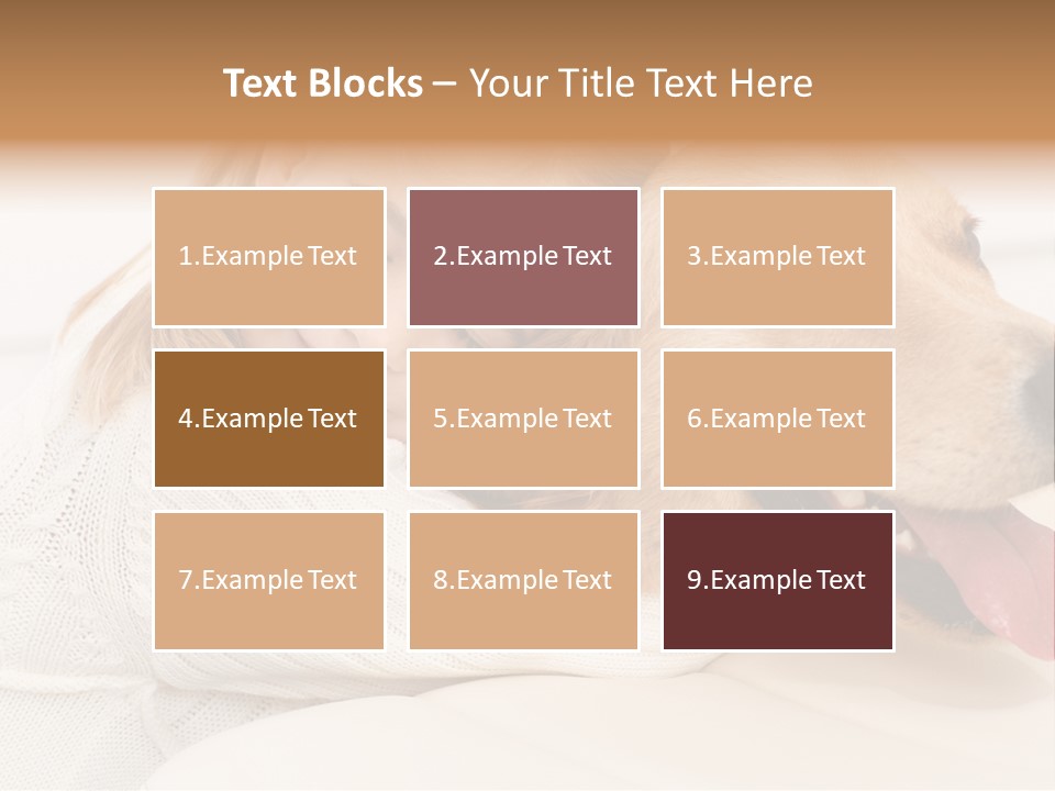 Good Kid Smiling PowerPoint Template