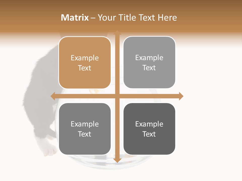 Feline Trouble Baby PowerPoint Template