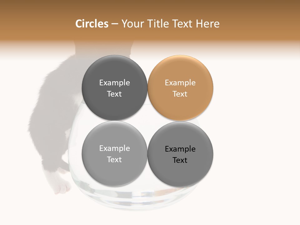 Feline Trouble Baby PowerPoint Template