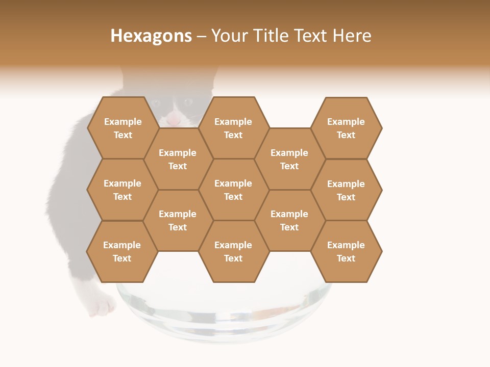 Feline Trouble Baby PowerPoint Template