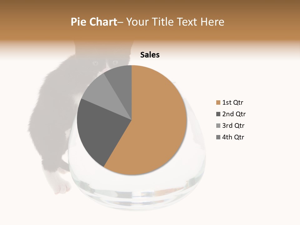 Feline Trouble Baby PowerPoint Template