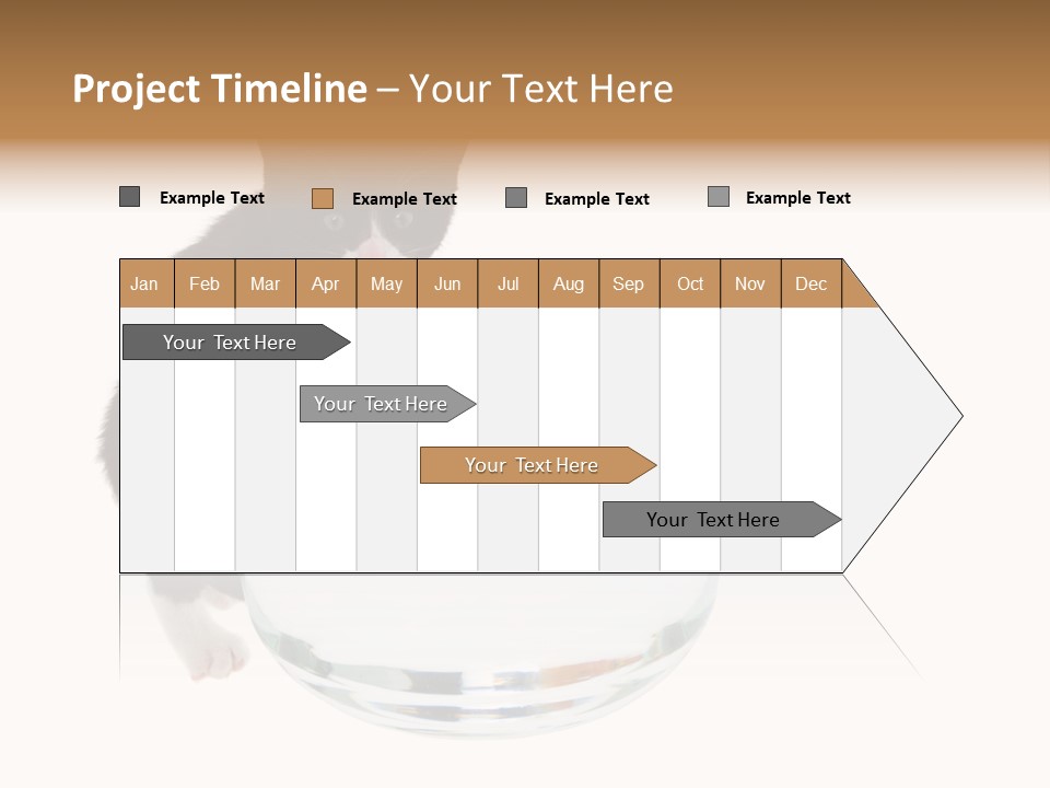 Feline Trouble Baby PowerPoint Template