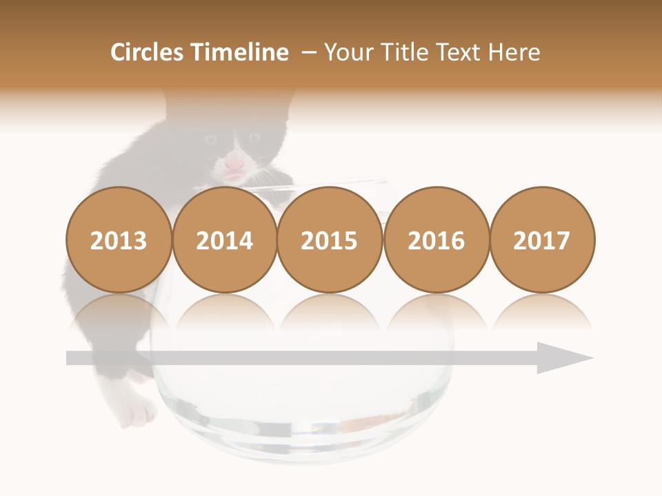 Feline Trouble Baby PowerPoint Template