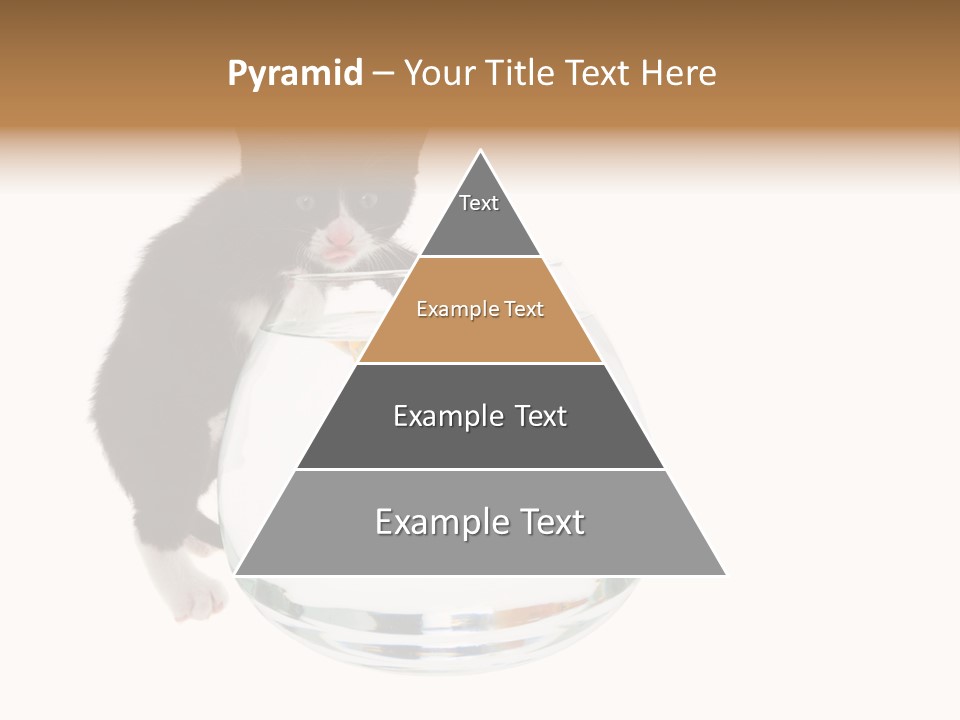 Feline Trouble Baby PowerPoint Template