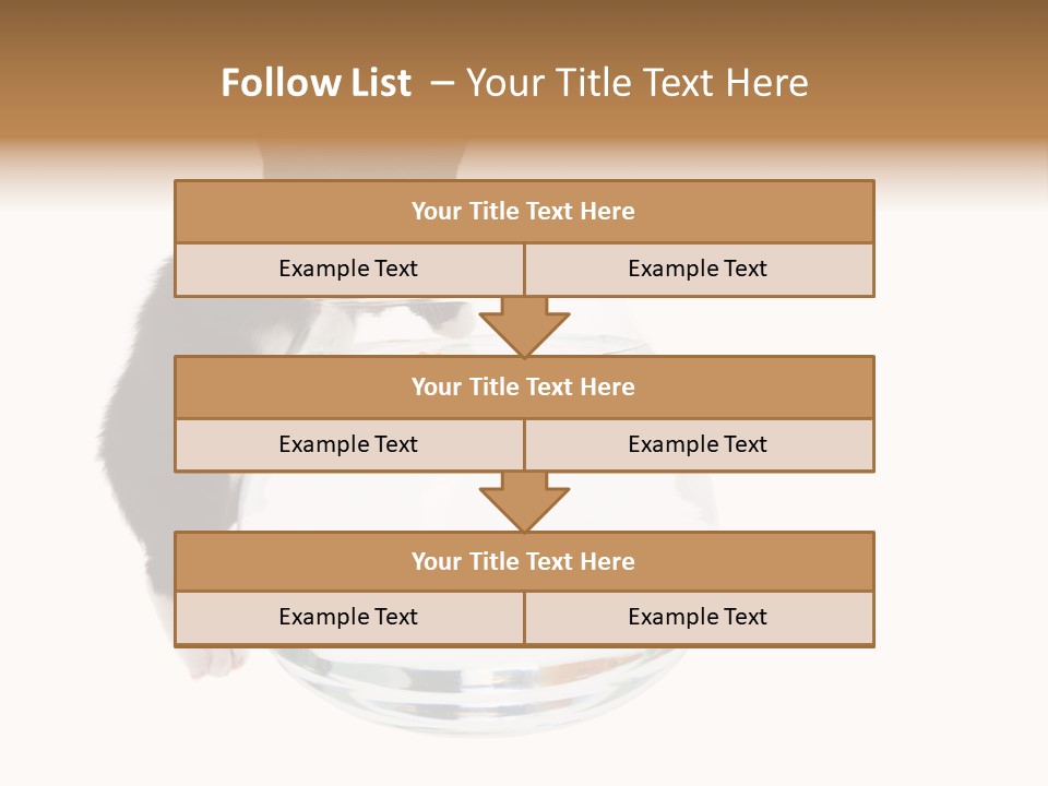 Feline Trouble Baby PowerPoint Template