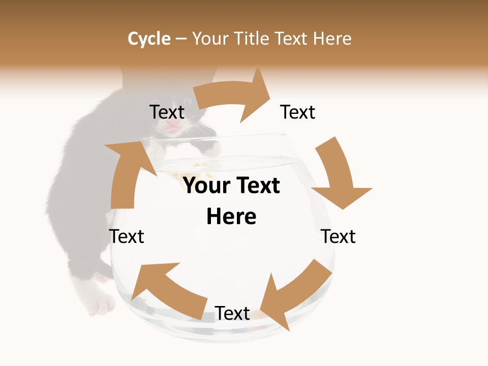 Feline Trouble Baby PowerPoint Template