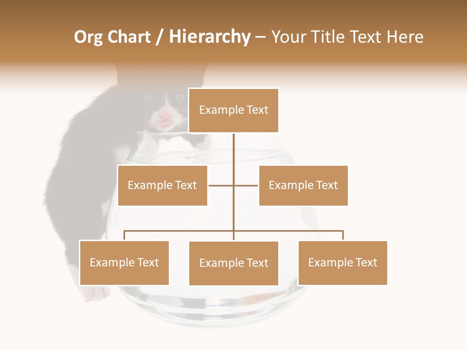 Feline Trouble Baby PowerPoint Template