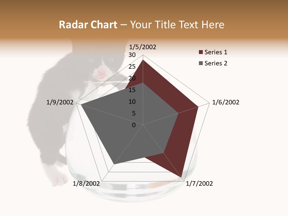 Feline Trouble Baby PowerPoint Template