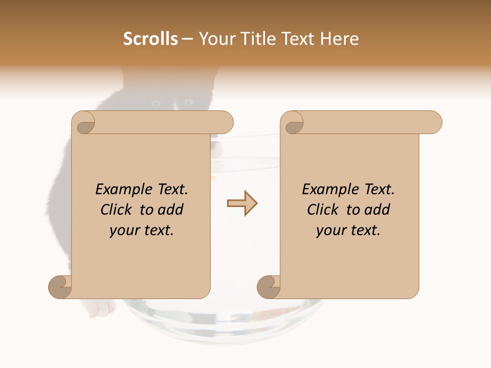 Feline Trouble Baby PowerPoint Template