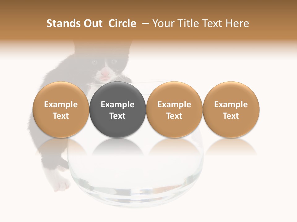 Feline Trouble Baby PowerPoint Template