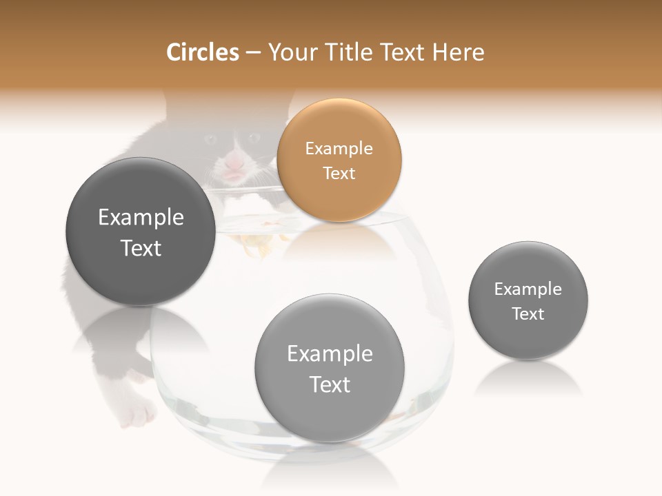 Feline Trouble Baby PowerPoint Template