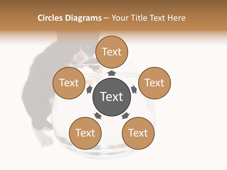 Feline Trouble Baby PowerPoint Template