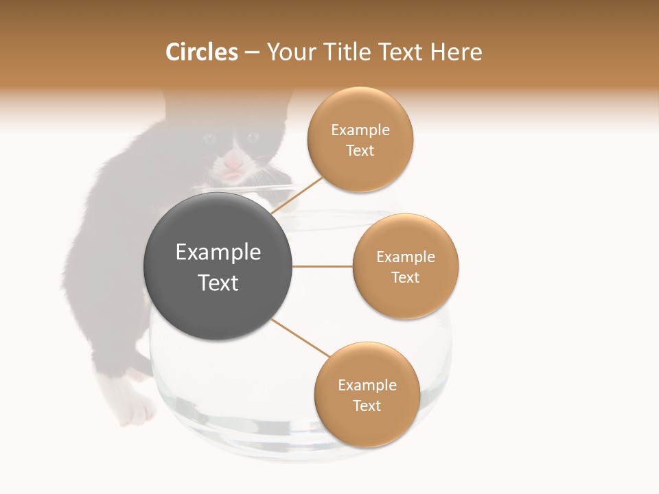 Feline Trouble Baby PowerPoint Template