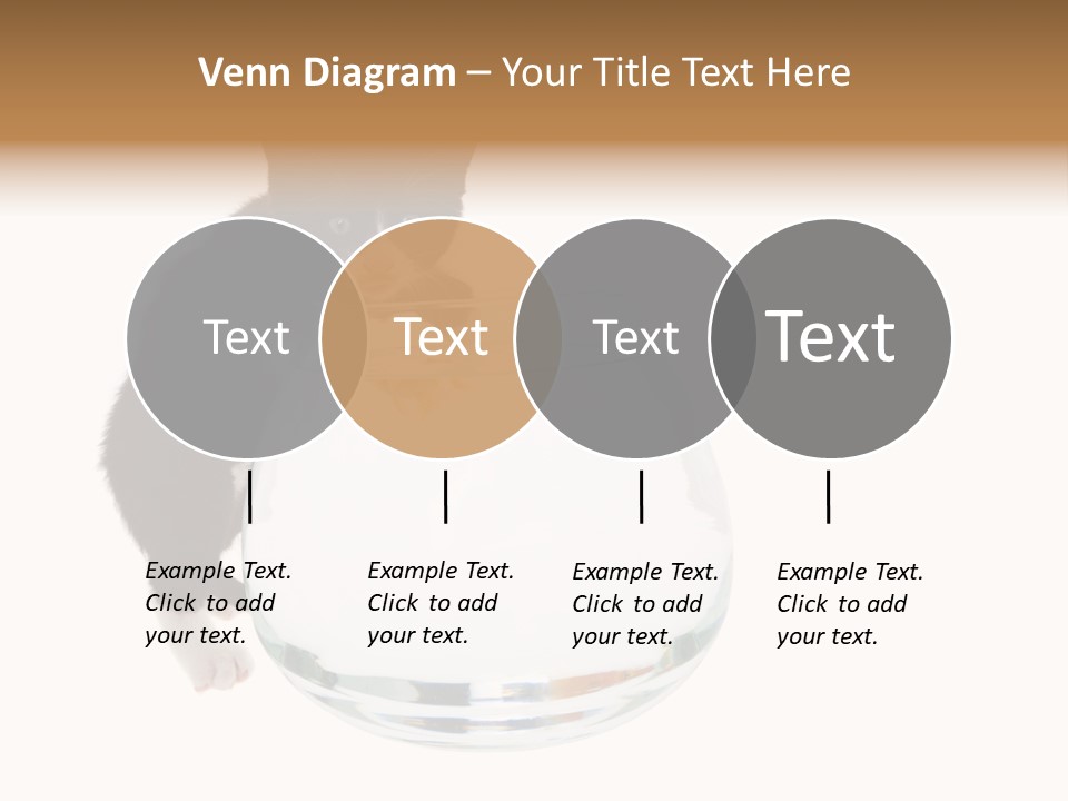 Feline Trouble Baby PowerPoint Template