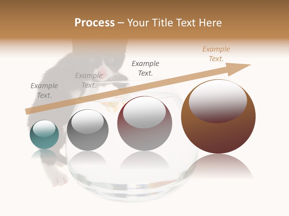 Feline Trouble Baby PowerPoint Template