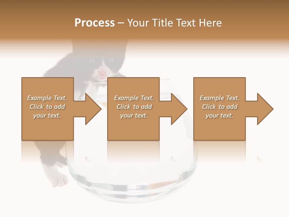 Feline Trouble Baby PowerPoint Template