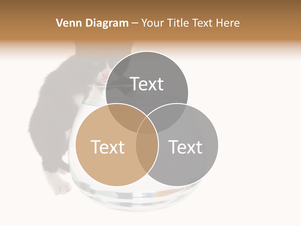 Feline Trouble Baby PowerPoint Template