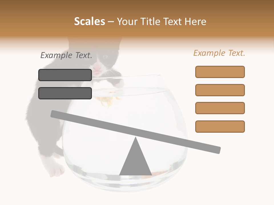 Feline Trouble Baby PowerPoint Template