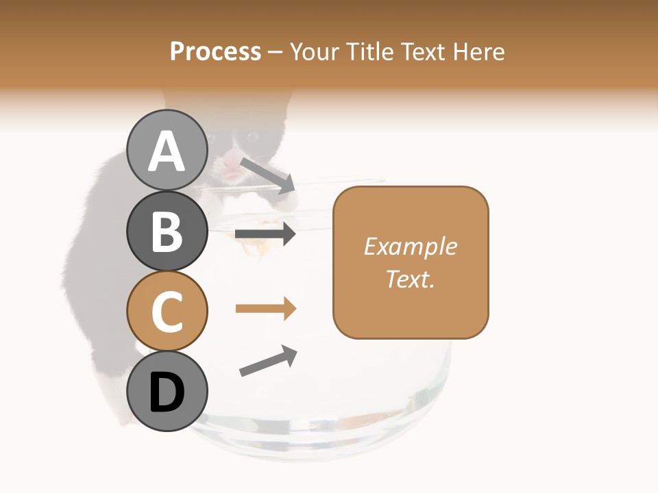 Feline Trouble Baby PowerPoint Template