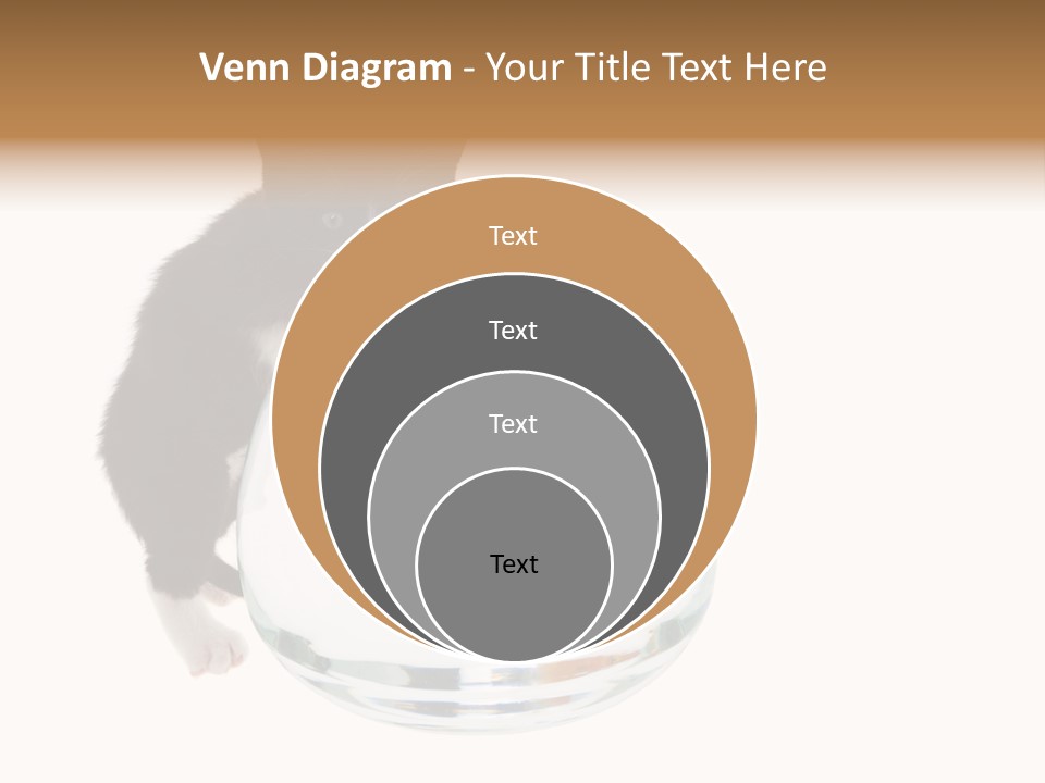 Feline Trouble Baby PowerPoint Template