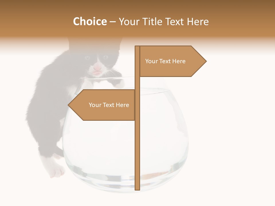 Feline Trouble Baby PowerPoint Template