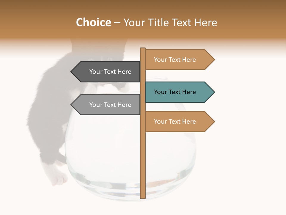 Feline Trouble Baby PowerPoint Template