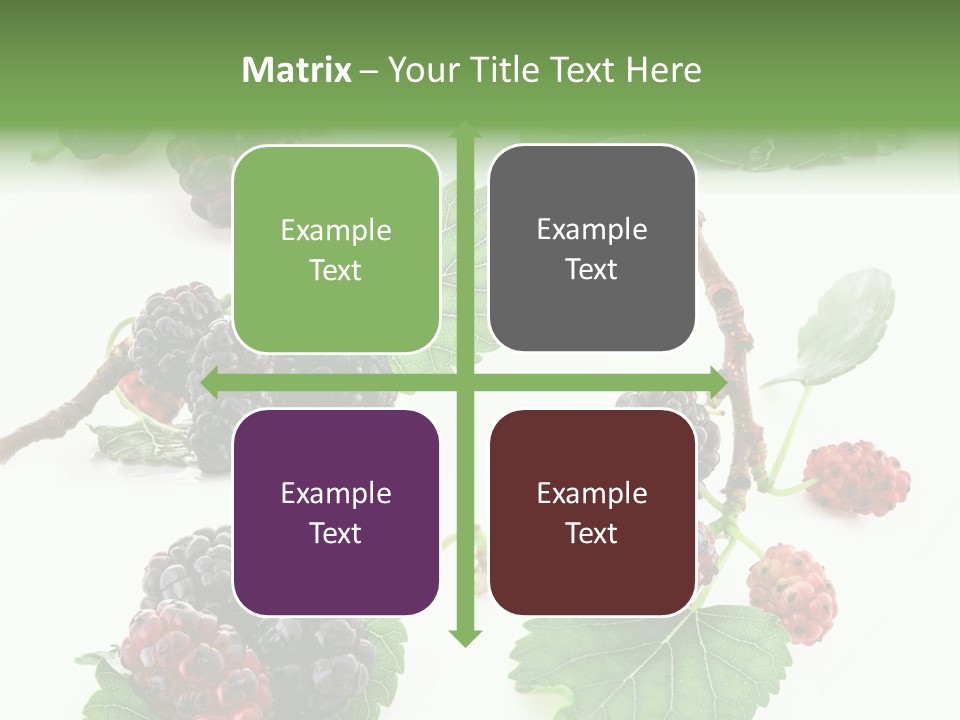 Three Clean Fresh PowerPoint Template