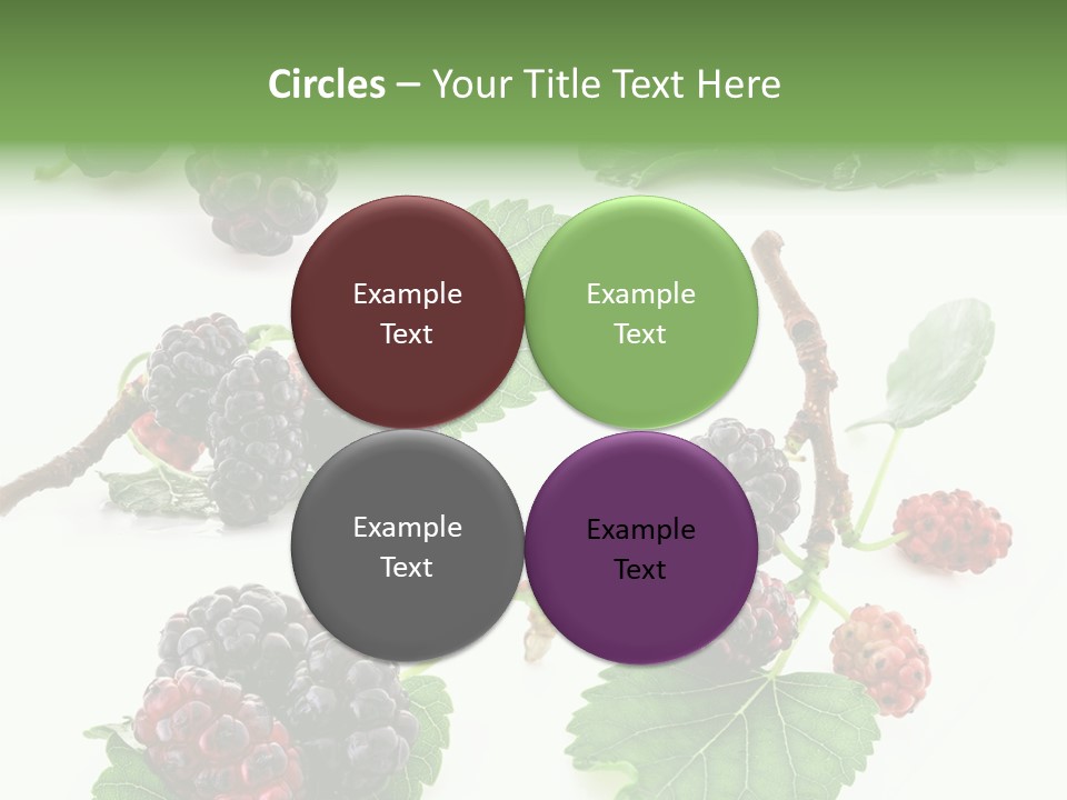 Three Clean Fresh PowerPoint Template