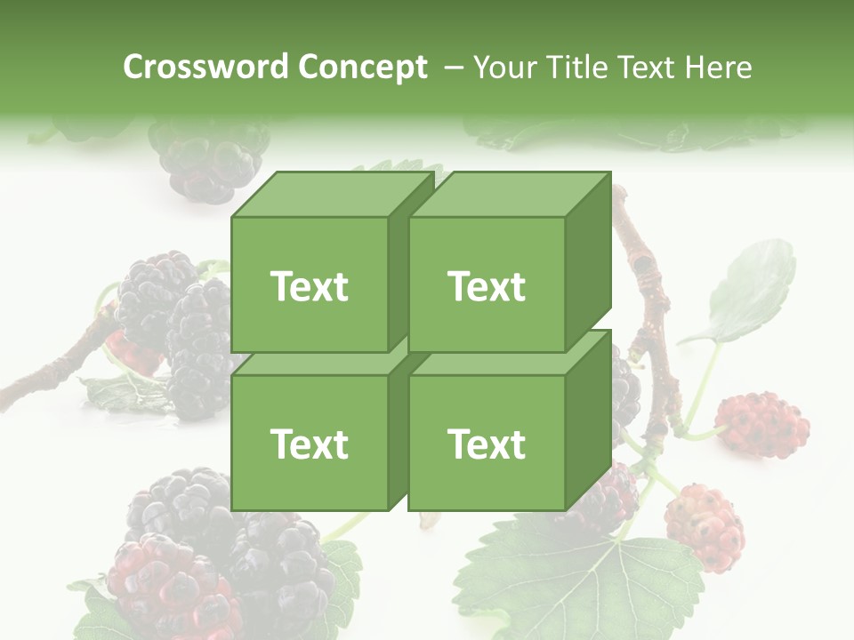 Three Clean Fresh PowerPoint Template