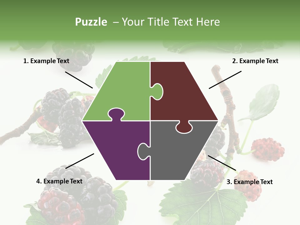 Three Clean Fresh PowerPoint Template