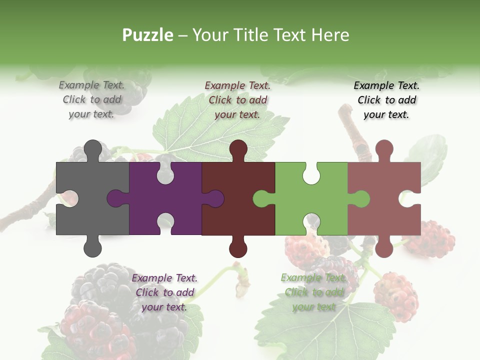 Three Clean Fresh PowerPoint Template