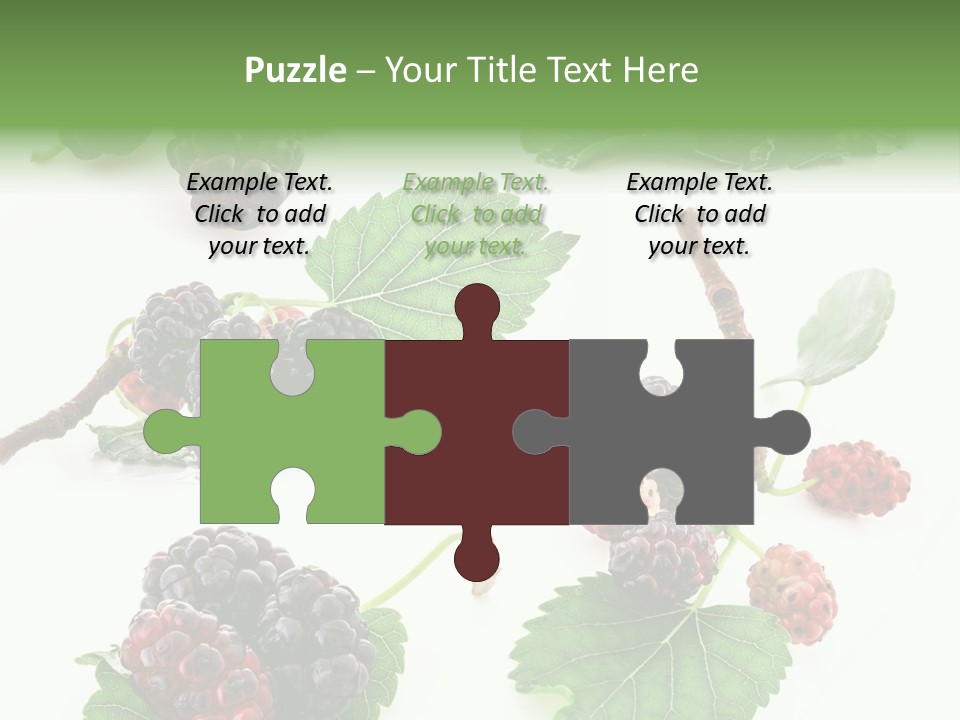 Three Clean Fresh PowerPoint Template