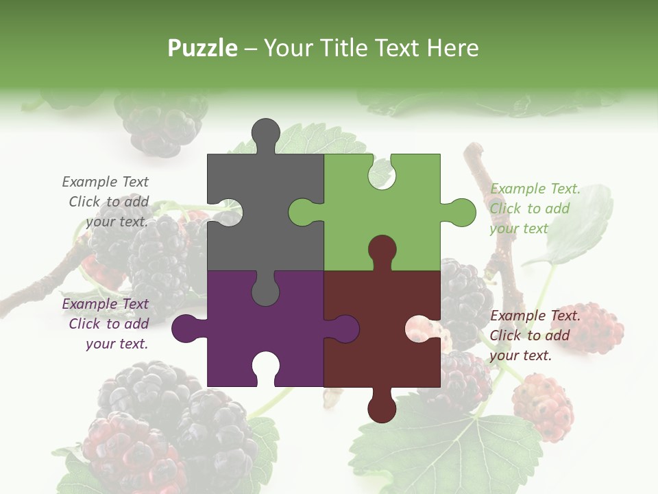 Three Clean Fresh PowerPoint Template