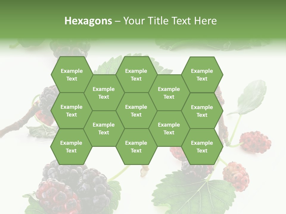 Three Clean Fresh PowerPoint Template